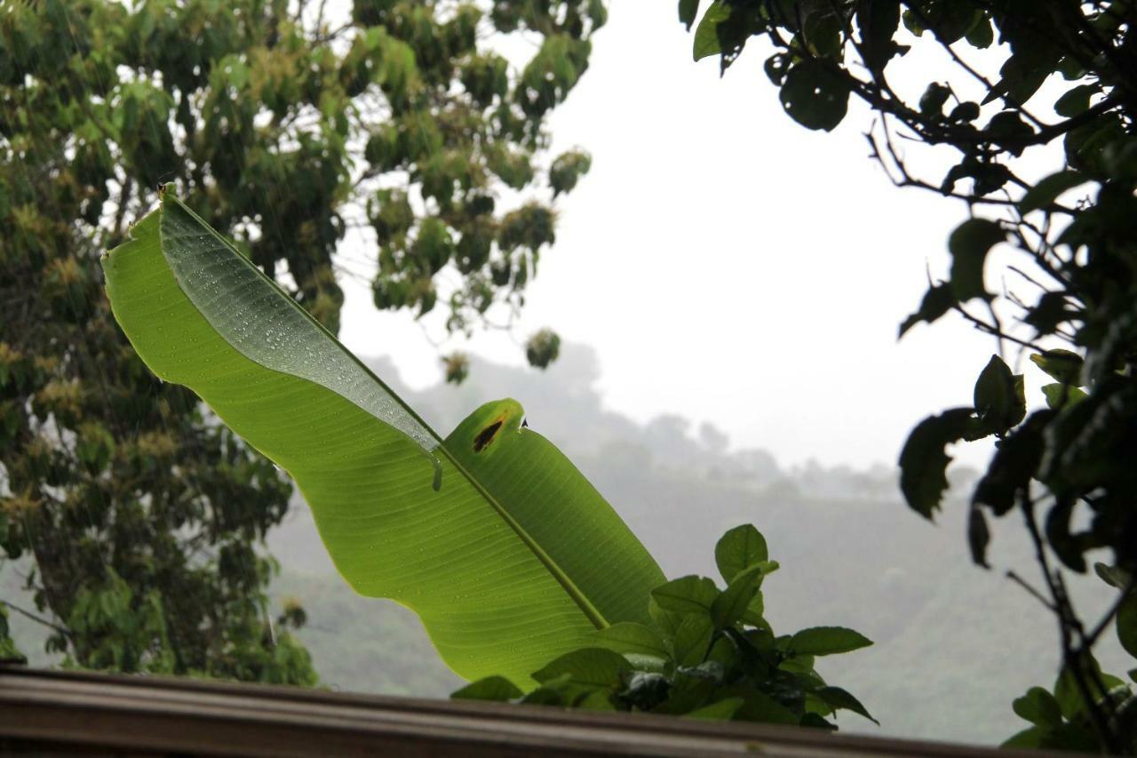 Eco Hotel El Columpio Salento Ngoại thất bức ảnh