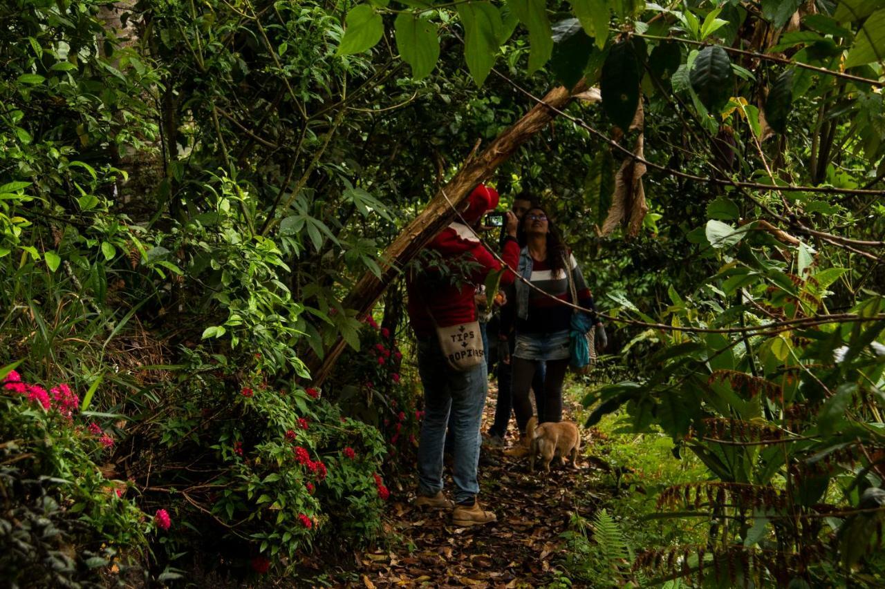 Eco Hotel El Columpio Salento Ngoại thất bức ảnh