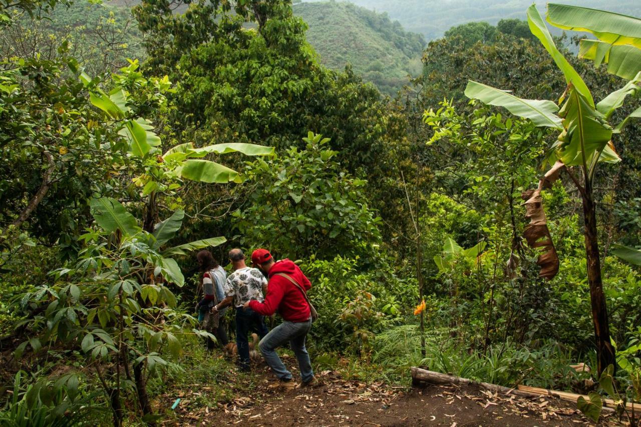 Eco Hotel El Columpio Salento Ngoại thất bức ảnh