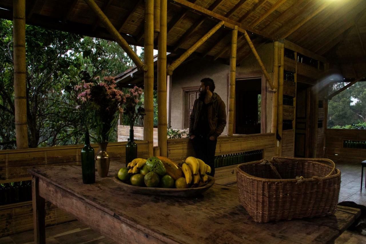 Eco Hotel El Columpio Salento Ngoại thất bức ảnh